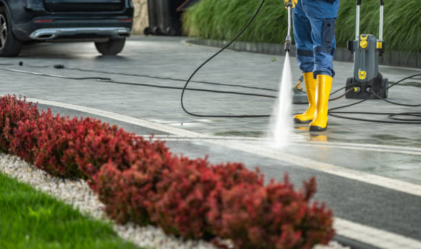 Best Vinyl Siding Pressure Washing in Lathrop, CA